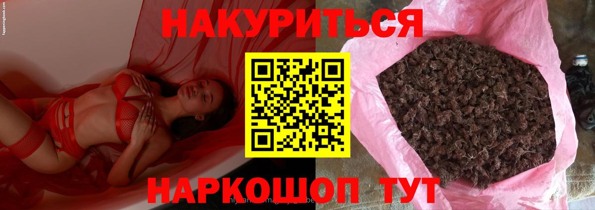 Бошки марихуана план Кореновск